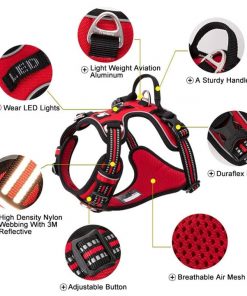 No Pull Harness - Available in 5 Sizes