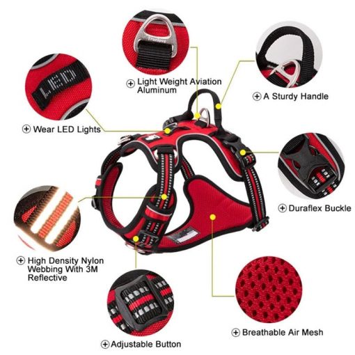 No Pull Harness - Available in 5 Sizes