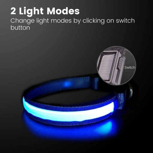 Floofi Solar USB Rechargable LED Dog Collar