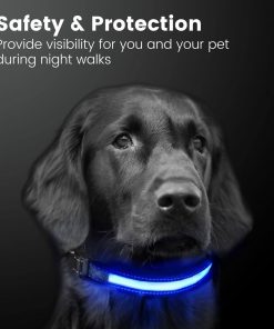 Floofi Solar USB Rechargable LED Dog Collar