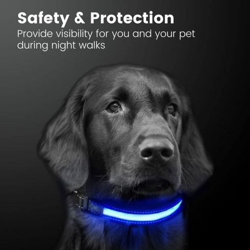 Floofi Solar USB Rechargable LED Dog Collar