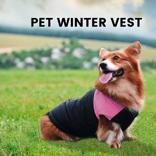 Floofi Pet Winter Vest - 4 Colors (Blue, Pink, Purple, Red)